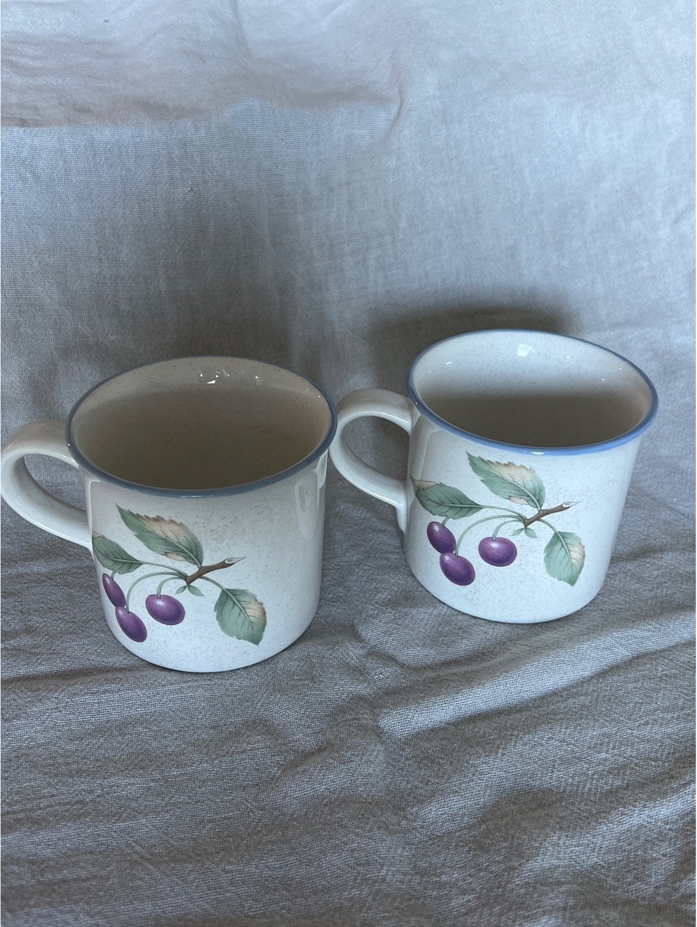 Savoir Vivre Luscious Table Ceramic Coffee Mug Set of 2
